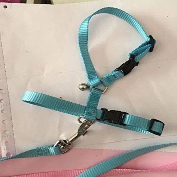 Adjustable Small Pet Hedgehog Harness - Image 2